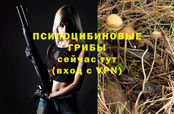 бошки Заволжск
