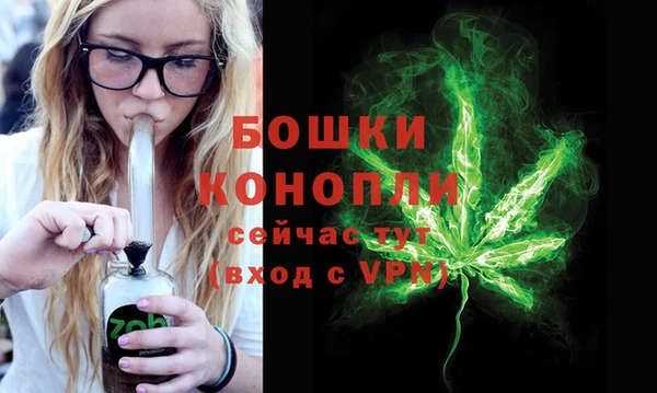 сатива Остров