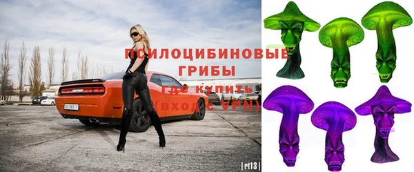 бошки Заволжск